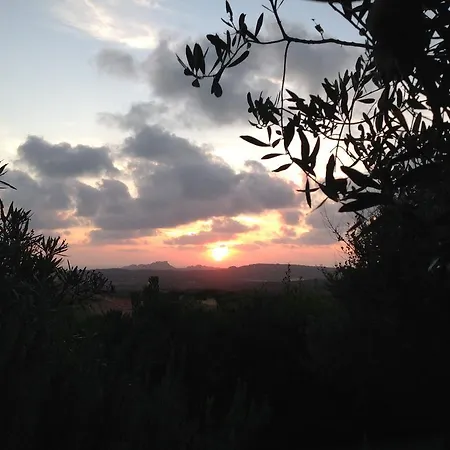 Kuky Oda ve Kahvaltı